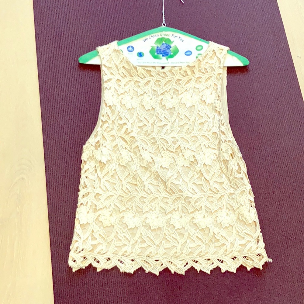 Lace  top by designer “Alice +Olivia”.   a great l